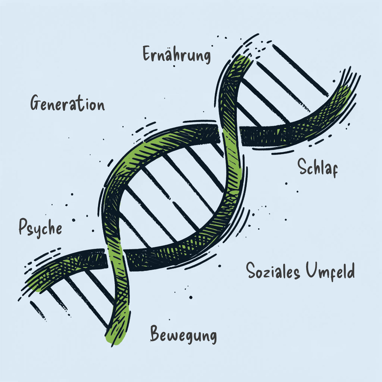 nadei_dna