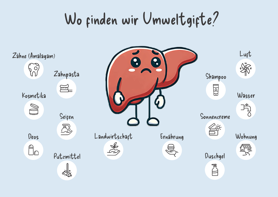 Nadei-leber-umweltgifte-1-